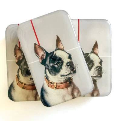 Boston Terrier Notions Tin FireflyNotes