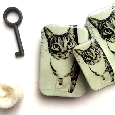Cat Notions Tin FireflyNotes