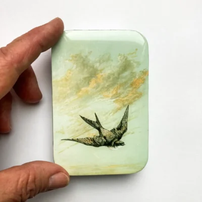 Zwaluw Notion Tin FireflyNotes