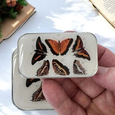 Orange Butterflies Notions Tin FireflyNotes small